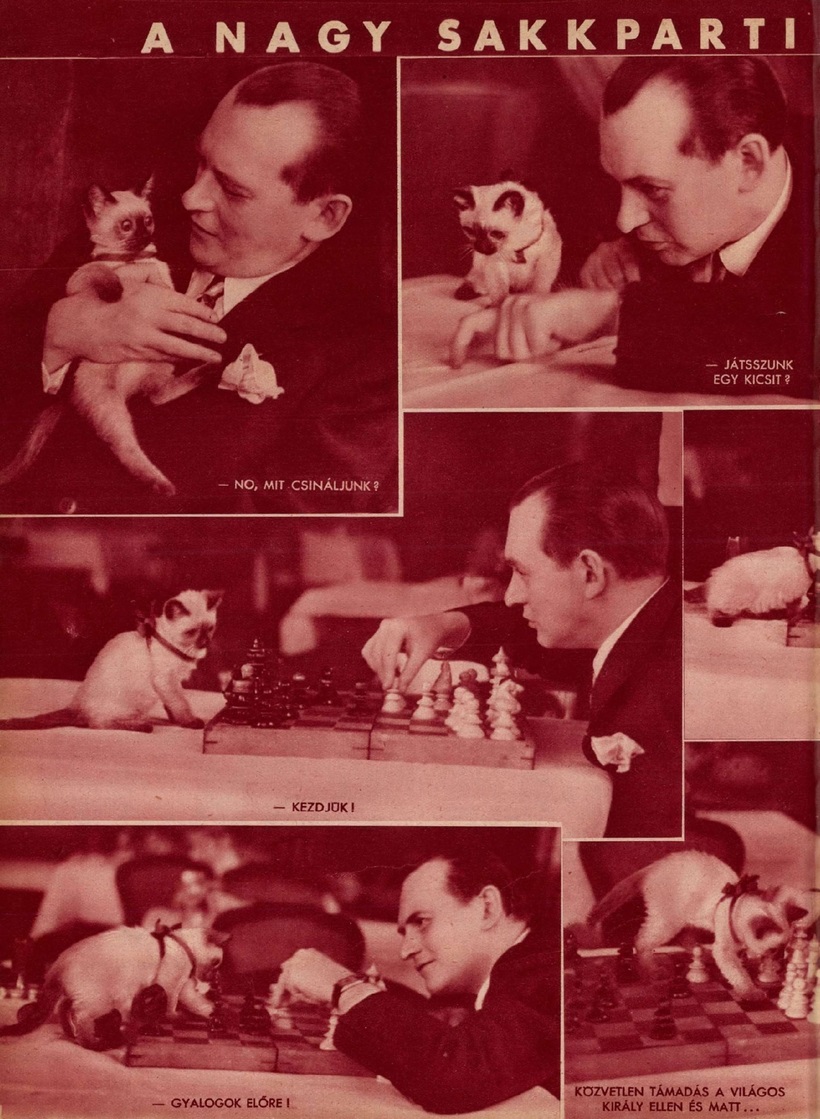 alekhine