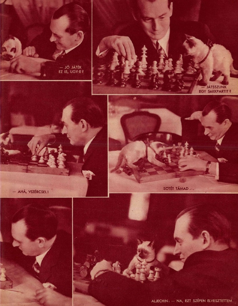 alekhine