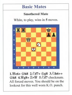 What Is a Smothered Checkmate? - Howcast