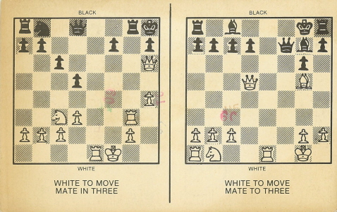 Assassin rook mate. Can u find it? ( Source in the comments) : r/ chess