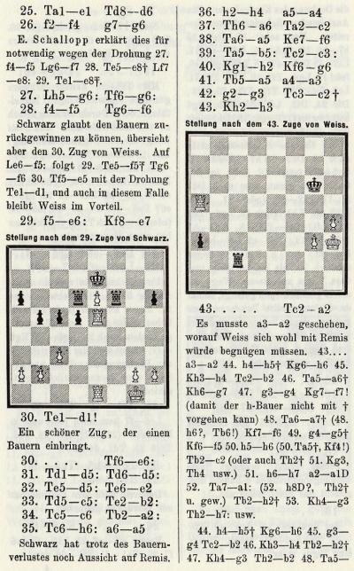 tarrasch chigorin